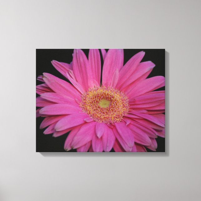 Rosa Wrapped Canvas (Framsida)