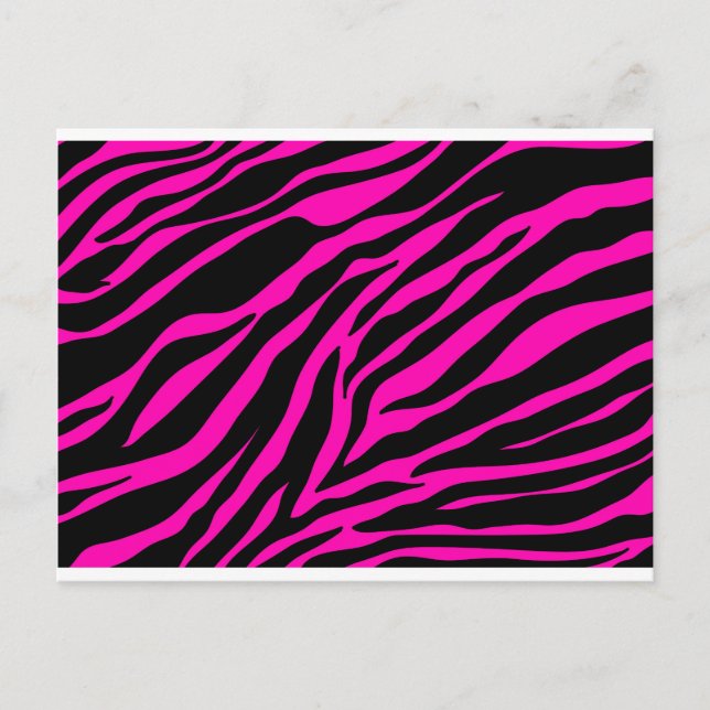 rosa zebra vykort (Framsida)