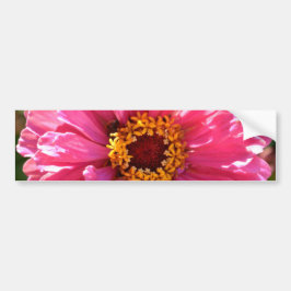 Rosa Zinnia Bildekal
