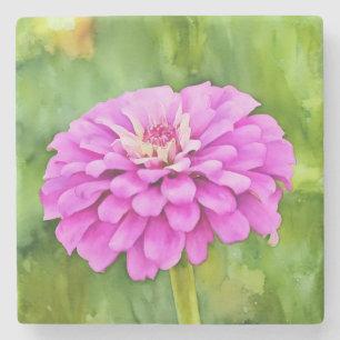 Rosa Zinnia Flower Art Marble Stenunderlägg