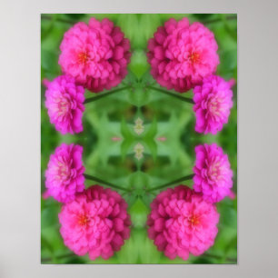 Rosa Zinnia Flower Pair Abstrakt Poster