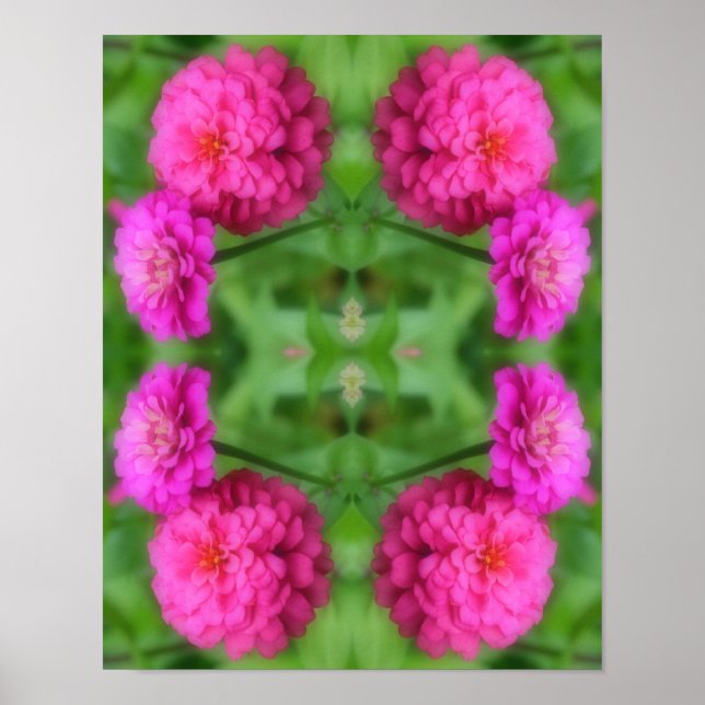 Rosa Zinnia Flower Pair Abstrakt Poster (Framsidan)