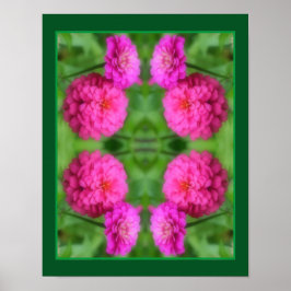 Rosa Zinnia Flower Pair Close Abstrakt Poster