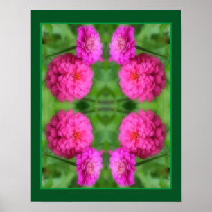 Rosa Zinnia Flower Pair Close Abstrakt Poster