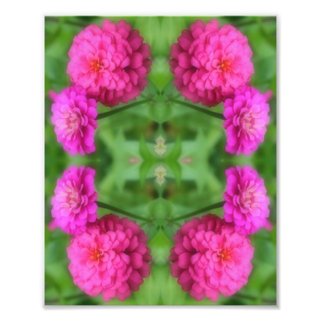 Rosa Zinnia Flower Pair Spegel Abstrakt 8x10 Fototryck (Framsidan)