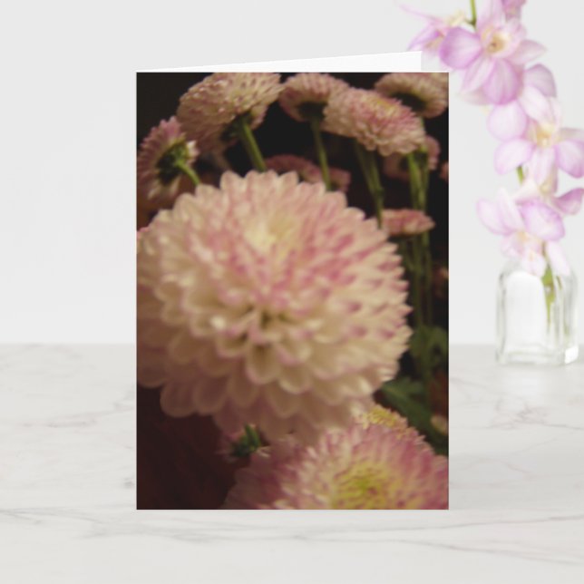 Rosa Zinnia Flowers Kort (Orkide)