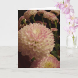Rosa Zinnia Flowers Kort