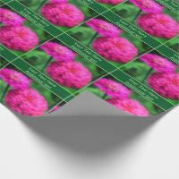Rosa Zinnia Flowers Personlig