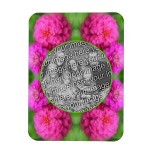 Rosa Zinnia Flowers Ram Skapar ditt eget foto Magnet