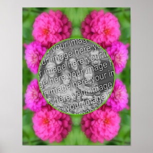 Rosa Zinnia Flowers Ram Skapar ditt eget foto Poster