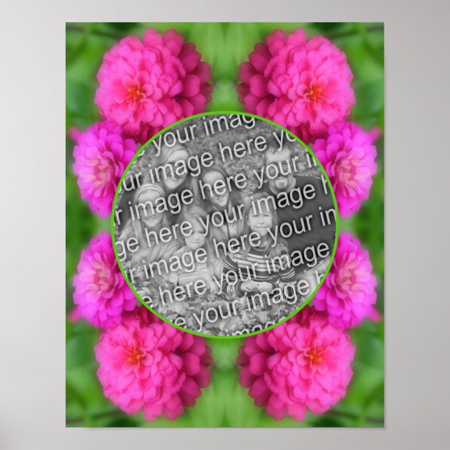 Rosa Zinnia Flowers Ram Skapar ditt eget foto Poster (Framsidan)
