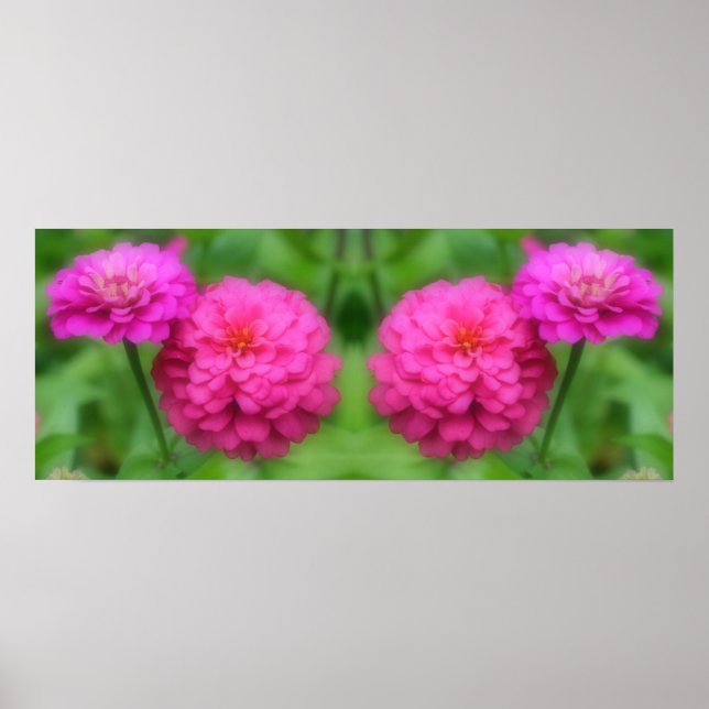 Rosa Zinnia Flowers Spegel Abstrakt Poster (Framsidan)