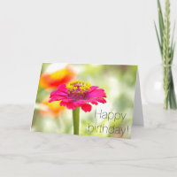 Rosa Zinnia-födelsedagskort