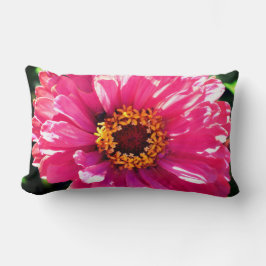 Rosa Zinnia Lumbarkudde