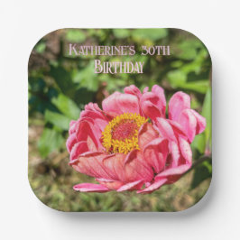 Rosa Zinnia med Gult Center