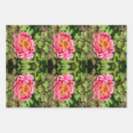 Rosa Zinnia med Gult Center