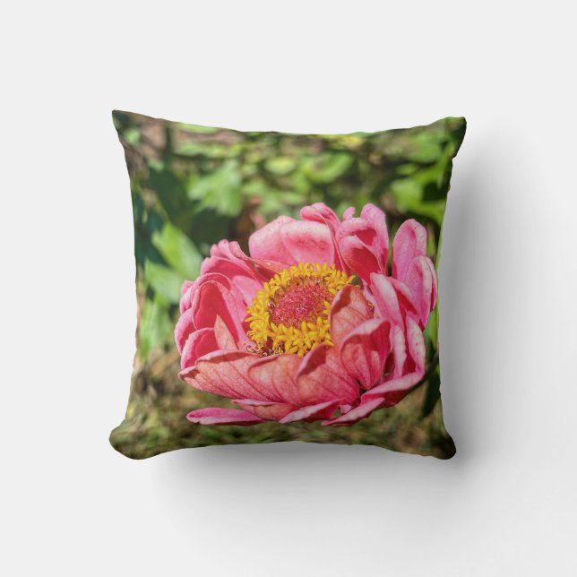 Rosa Zinnia med Gult Center Kudde (Framsida)