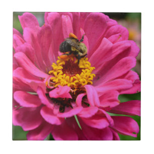 Rosa Zinnia och Humla Kakelplatta