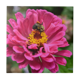 Rosa Zinnia och Humla Kakelplatta