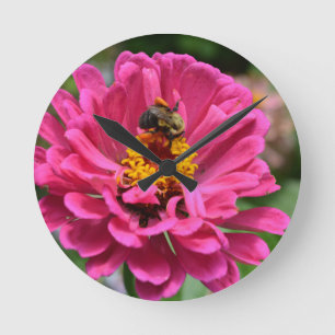 Rosa Zinnia och Humla Rund Klocka