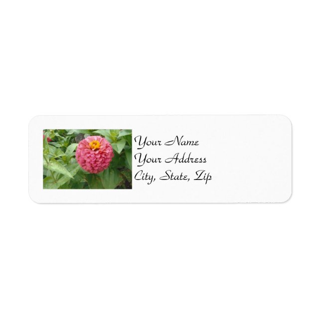 Rosa Zinnia Returadress Etikett (Framsidan)