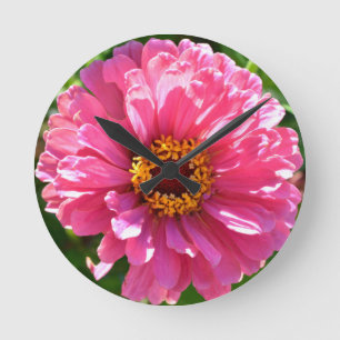 Rosa Zinnia Rund Klocka