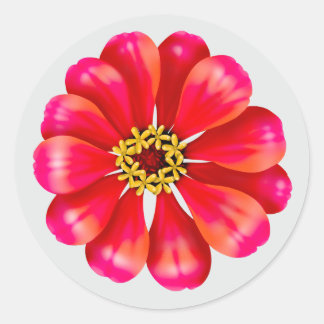 Rosa Zinnia Runt Klistermärke