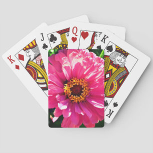 Rosa Zinnia Spel Kort