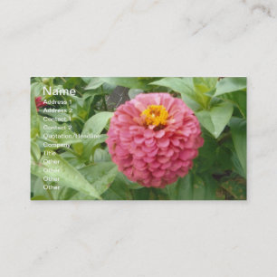Rosa Zinnia Visitkort