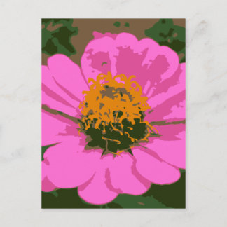 Rosa Zinnia Vykort
