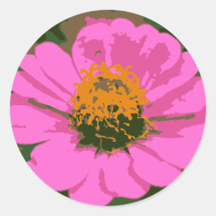 Rosa Zinniablommaklistermärke Runt Klistermärke