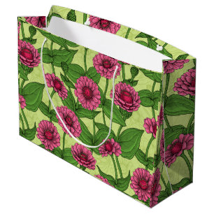 Rosa Zinnias på ljust grönt