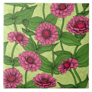 Rosa Zinnias på ljust grönt Kakelplatta