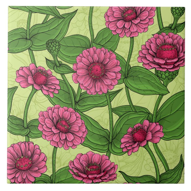 Rosa Zinnias på ljust grönt Kakelplatta (Framsidan)