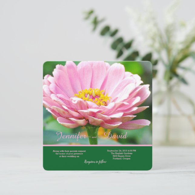 Rosa Zinniasbröllop - inbjudan (Stående Fram)