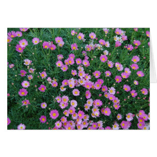 Rosablommakort Hälsningskort