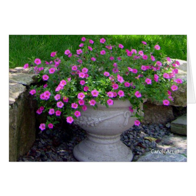 Rosablommaplanteren noterar hälsningskort (Framsidan Horizontal)