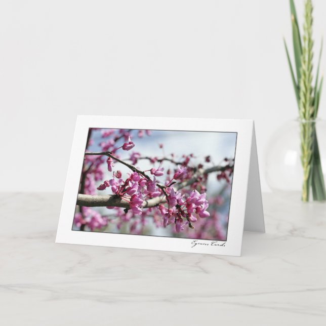 Rosablommaträd Kort (Framsida)