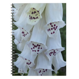 Rosafläckig vit digitalis blom anteckningsbok