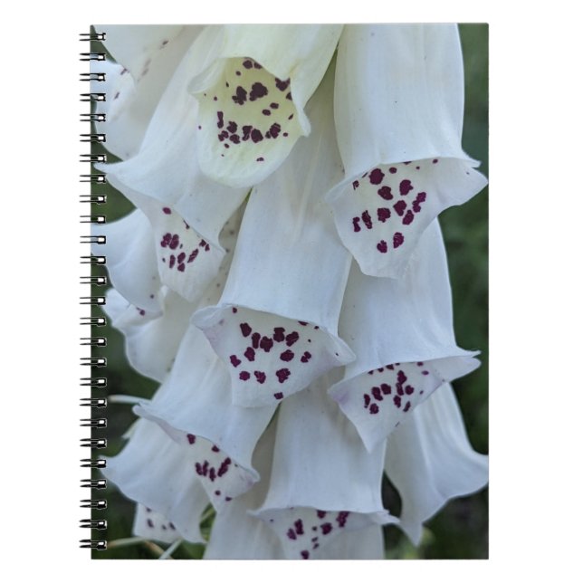 Rosafläckig vit digitalis blom anteckningsbok (Framsidan)
