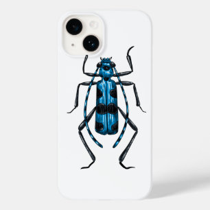 Rosalia Alpina beetle