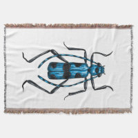 Rosalia Alpina beetle
