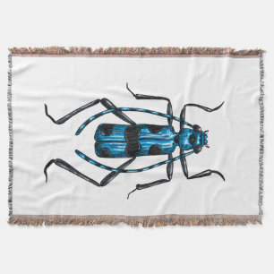 Rosalia Alpina beetle Filt