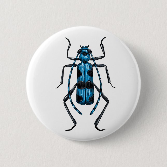 Rosalia Alpina beetle Knapp (Framsida)