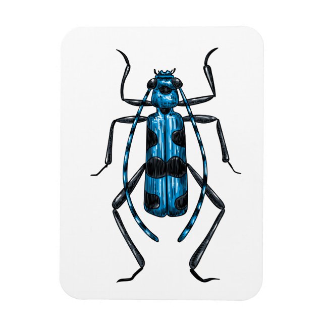 Rosalia Alpina beetle Magnet (Vertikal)