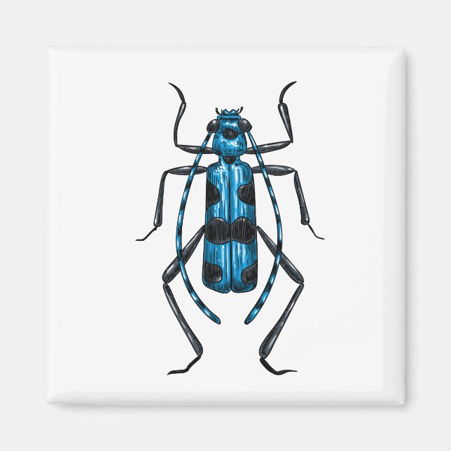 Rosalia Alpina beetle Magnet (Framsidan)