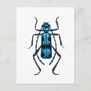 Rosalia Alpina skalbagge Vykort