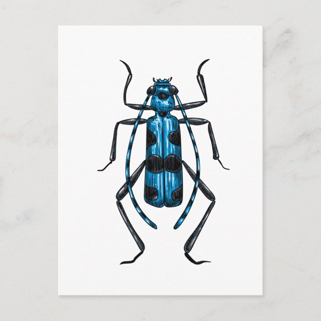 Rosalia Alpina skalbagge Vykort (Framsida)