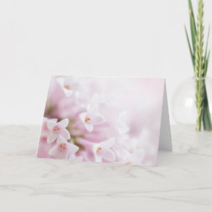 Rosan för hälsningkort blommar vågrät kort