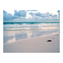 Rosans glöd på en solnedgång